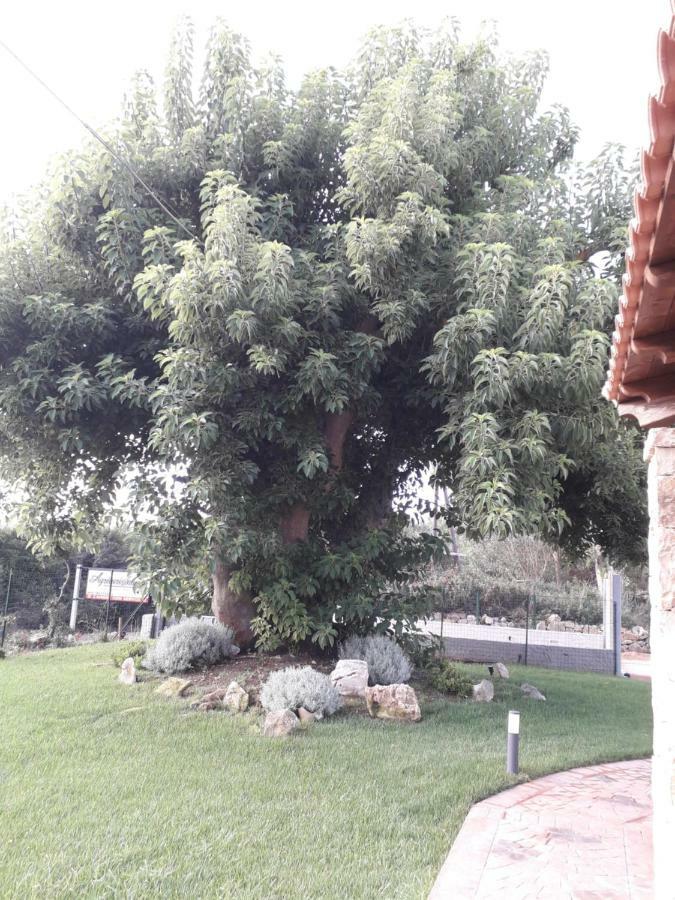 Agriturismo Quattro Mori 포르토 토레스 외부 사진